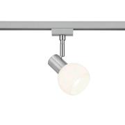 Railspot voor DUOline, opaal glas, nikkelkleurig, E14