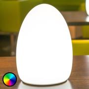 EGG - een app-gestuurde sfeerlamp met oplaadbare batterij