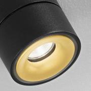 EGG DLS LED spot Clippo Duo, zwart-goud, 2.700K