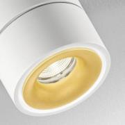 EGG DLS LED spot Clippo Duo, wit-goud, 3.000K