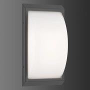 Buitenwandlamp 053 van roestvrij staal, grafiet