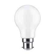 Paulmann LED lamp B22d A60 9W 4.000K opaal