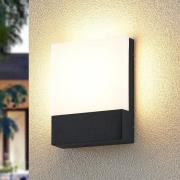 Lindby Vanira LED wandlamp voor buiten