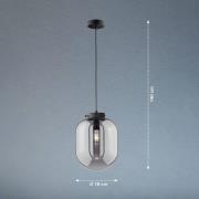 Hanglamp Regi, 1-lamp, Ø 18 cm
