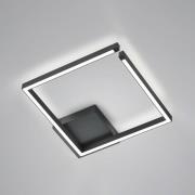 Yoko plafondlamp, omhoog/omlaag, 40x40 cm, zwart