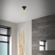 Plafondlamp Tepel voor de badkamer IP44 E27 zwart