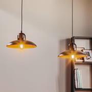 Hanglamp Felix, zwart/antiek goud, 2-lamps