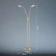 LED vloerlamp Pool, messingkleurig, hoogte 160 cm, 2-lamps.