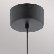 Moonlit LED hanglamp, zwart, aluminium, Ø 20 cm, bol