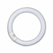 G10q 32W 840 Lumilux T9C TL-ring