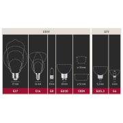 LED glazen lamp E27 6W G125 Fil 2.700K opaal dimbaar