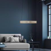 LED hanglamp PURE E-Loop, ivoorgoud, Ø 50 cm, aluminium, CCT
