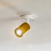 Plafondspot Zen 1-lamp in wit/goud