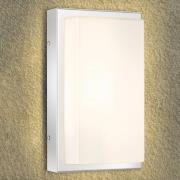 LED buiten wandlamp Julea, roestvrij staal, glas