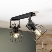 Plafondlamp Alano, zwart, 2-lamps
