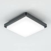 EVN LED buiten plafondlamp Tectum, 23x23 cm, antraciet, 150°