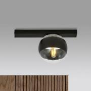 Plafondlamp Lineair, zwart/helder, 1-lamp