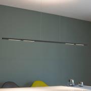 Sattler Palito Linea, 3.000K, TRIAC, 175cm zwart