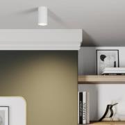 Eye S downlight in cilindervorm, wit