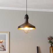 Hanglamp AV-4106-M25-BSY met kooikap