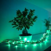 Twinkly RGB lichtkettingen, zwart, 250 lampjes 20m