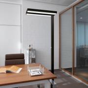 LED vloerlamp MAULjuvis, zwart, voet 196 cm dimbaar