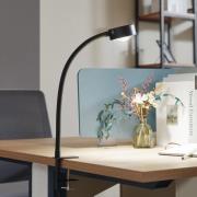 Lindby klemlamp Jyla, zwart, lens, 3000K, GX53