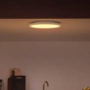 Philips Hue White&Color Surimu paneel wit Ø 39,5cm