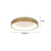 Ringlede LED plafondlamp, goud, hoogte 6 cm, Ø 28 cm