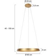 Ringlux hanglamp, 1-lamp, goudkleurig, metaal