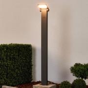 LED tuinpadverlichting Marius, 100 cm