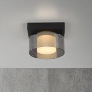 Paul Neuhaus plafondlamp Rika, zwart, lengte 15 cm