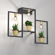 Flores wandlamp, 3-lamps, zwart/goud, met stekker