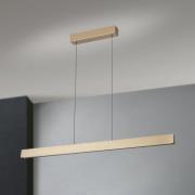 Hanglamp Tara, goudkleurig, lengte 120 cm, aluminium/staal