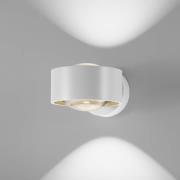 EGG LED wandlamp Clippo Optic, wit/goud, DTW, omhoog/omlaag