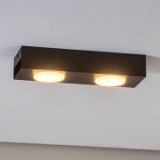 Downlight Ian in zwart, 2-lamps