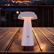 LED tafellamp op zonne-energie 36624, roze, oplaadbare batterij, CCT, ...