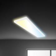 LED paneel Tava CCT, wit, 98 x 20 cm, achtergrondverlichting, kunststo...