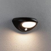 Paulmann LED buiten wandlamp Sorova, sensor, antraciet