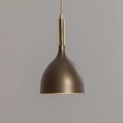 Noak hanglamp, 1-lamp, titanium-goud/goud, staal