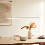 Quitani Talon LED hanglamp aluminium/naturel geanodiseerd 24W