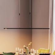 Quitani hanglamp Tolu, zwart, lengte 178 cm