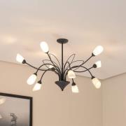Plafondlamp Gloriosa, glas, zwart, 10-lamps