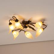 Alga plafondlamp, 6-lamps, ijzer, glas, Florentijn