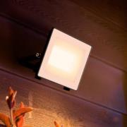 Philips LED-buitenspot Lois UE flood, 14 W, 3.000 K, IP65
