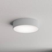 Plafondlamp Cleo 300, grijs, sensor, IP54, Ø 30 cm, metaal