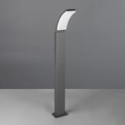 LED tuinpadverlichting Beja, antraciet, aluminium, hoogte 100 cm