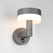 LED buiten wandlamp Mackenzie Sensor antraciet, gegoten aluminium