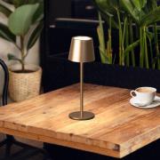 LED tafellamp Roxi, koffiekleurig, metaal, IP54, dimbaar