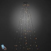 App-bediende LED-boommantel buiten 240-flg.
